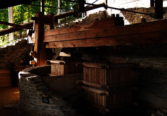 Kelteranlage Piesport