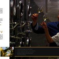 Bioweingut Hubertushof Elegant Innovativ