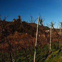 Auf dem Moselsteig bei Cochem