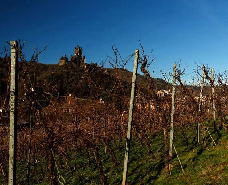 Auf dem Moselsteig bei Cochem