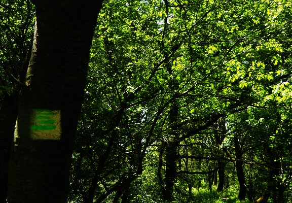 Beschilderung der Strecke