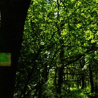 Beschilderung der Strecke