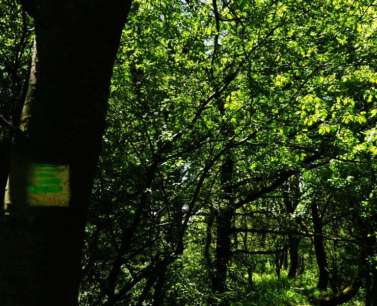 Beschilderung der Strecke