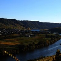 Mosellandschaft Herbst
