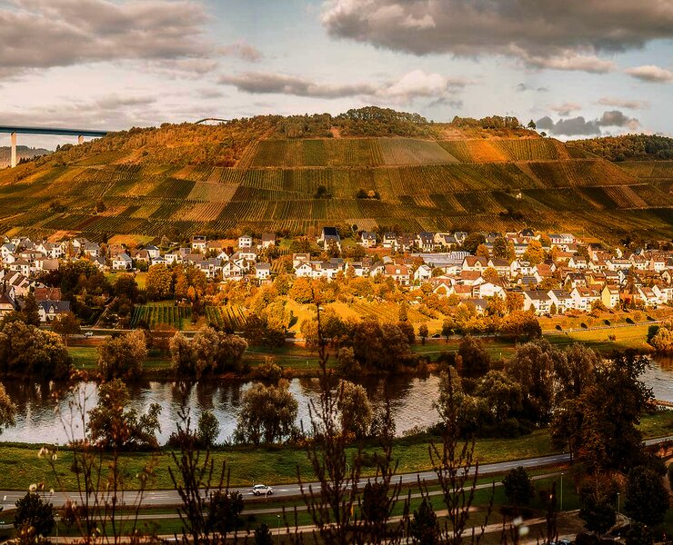 Tierzarztpraxis Roliger in Zelingen-Rachtig