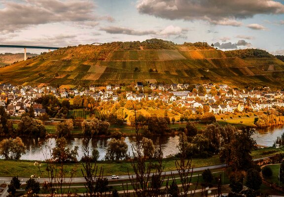 Tierzarztpraxis Roliger in Zelingen-Rachtig