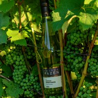 Weinflasche im Weinberg