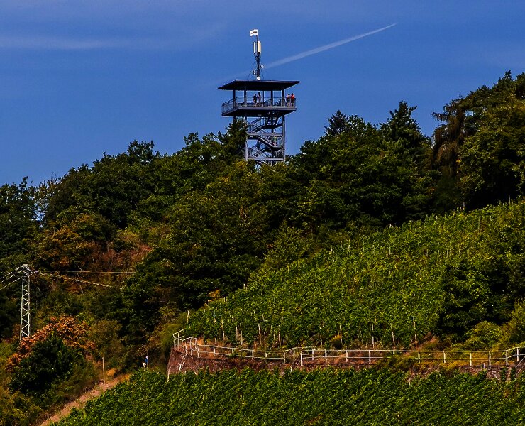 Blick auf den Prinzenkopfturm bei Zell