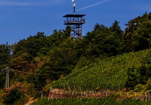 Blick auf den Prinzenkopfturm bei Zell