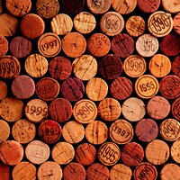 Wein an der Mosel genießen