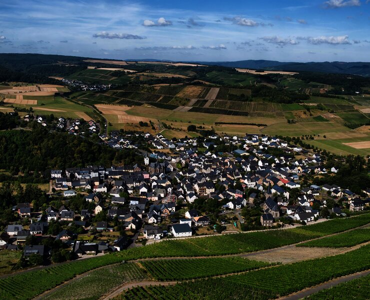Wein- und Urlaubsort Veldenz an der Mosel