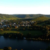 Blick auf Mülheim an der Mosel