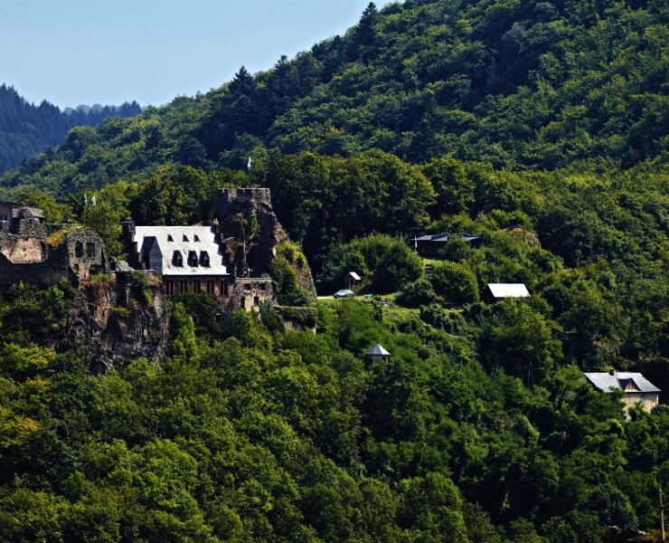Blick auf Schloss Veldenz