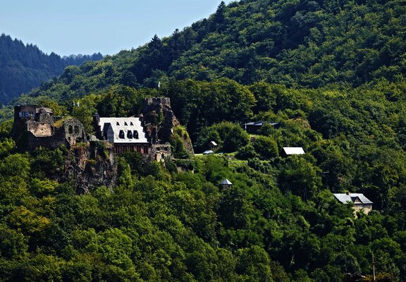 Blick auf Schloss Veldenz