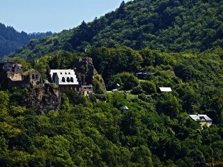 Blick auf Schloss Veldenz