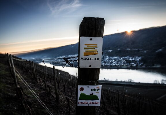Moselsteigbeschilderung bei Winningen