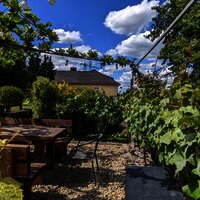 PXL_20220601_130428507 (1)