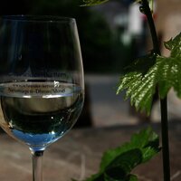 Wein Weingut Schneider-Kettern