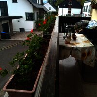 Blumen auf dem Balkon