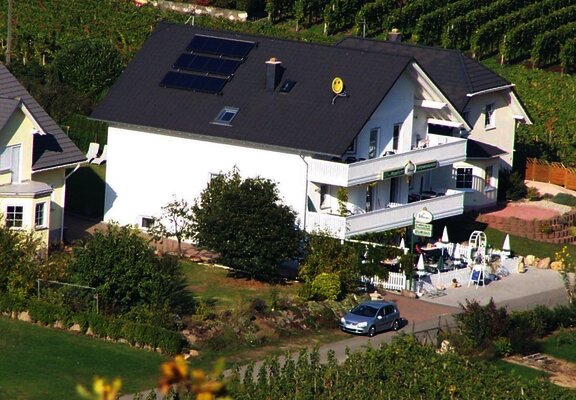 "Mosellicht" in den Weinbergen an der Mosel