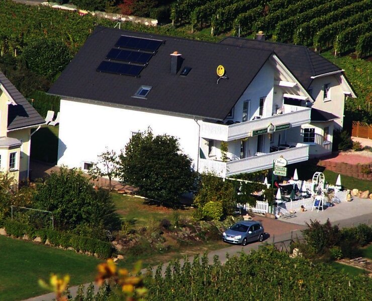 "Mosellicht" in den Weinbergen an der Mosel