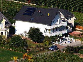 "Mosellicht" in den Weinbergen an der Mosel