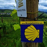 Wandervergnügen direkt vor der Haustür