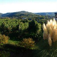 Ausblick Garten Genetsch