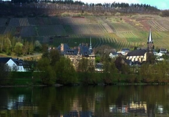 Weinort Lieser an der Mosel