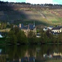 Weinort Lieser an der Mosel