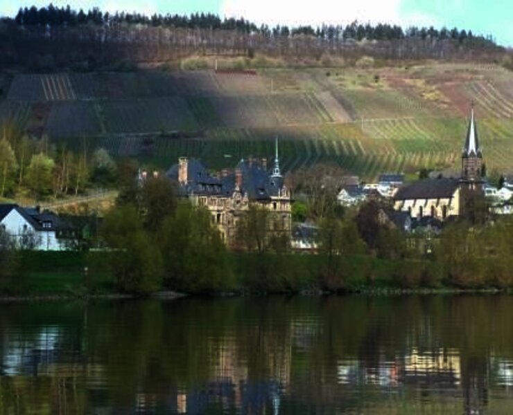 Weinort Lieser an der Mosel