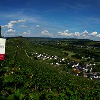 Ausblick auf Kesten von einem unserer Weinberge