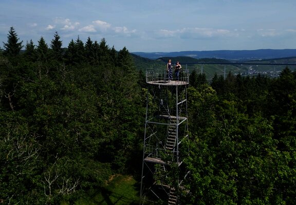 Grainskopf im Wald