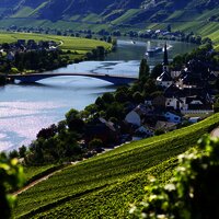 Blick auf Alt-Piesport