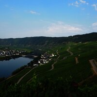 Blick über die Weinberge oberhalb von Piesport