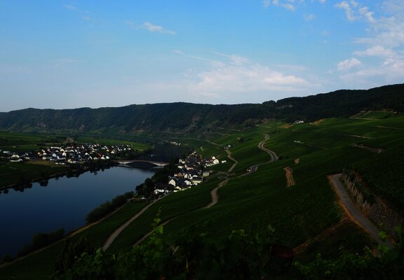 Blick über die Weinberge oberhalb von Piesport