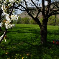 Moselufer in Brauneberg