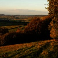 Wald- und Wiesenlandschaft 