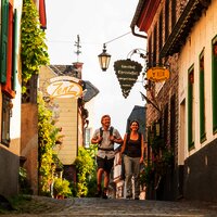 Auf dem Moselsteig in Ediger-Eller