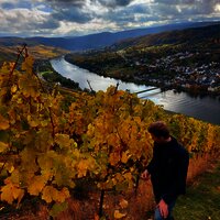 Weingut-Weinberge_Herbst