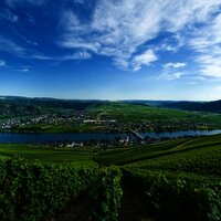 Piesporter Moselschleife