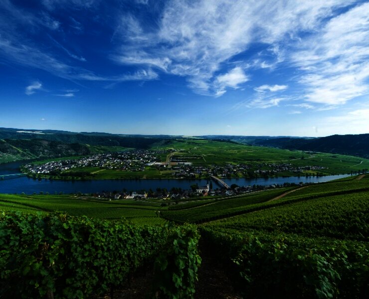 Piesporter Moselschleife