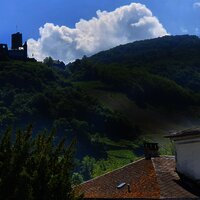 Blick auf die Burg und Mosel