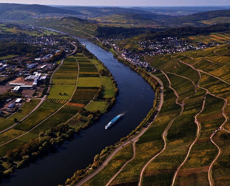 Weinlandschaft bei Lieser