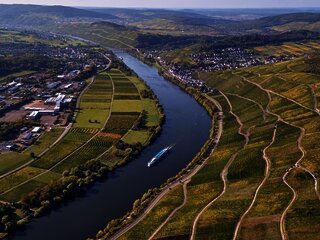 Weinlandschaft bei Lieser