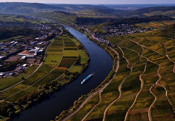Weinlandschaft bei Lieser