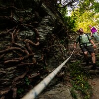 ...auf dem Collis-Steilpfad