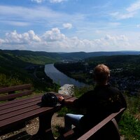 Rastplatz gegenüber von Wehlen