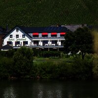 Hotel Zehnthof von der anderen Moselseite