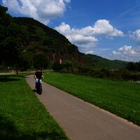 Moselradweg bei Ürzig